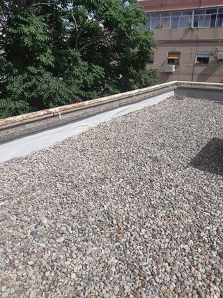 Servicios 