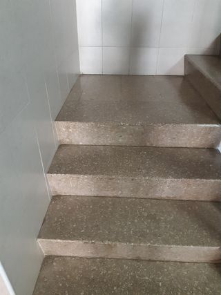 Servicios 