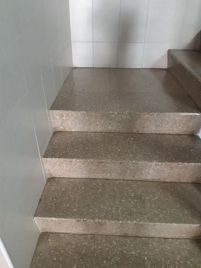 Servicios