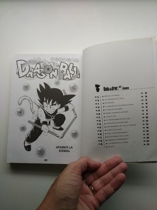 Llibre Bola de drac