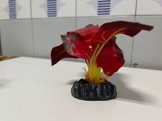Plantas decorativas de Acuario