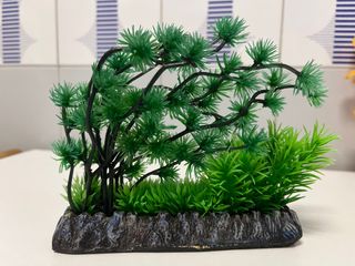 Plantas decorativas de Acuario