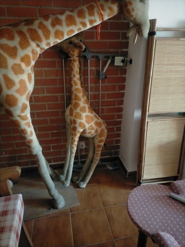 Juego de jirafas juego o decoración 