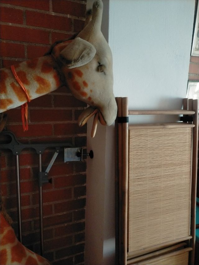 Juego de jirafas juego o decoración 