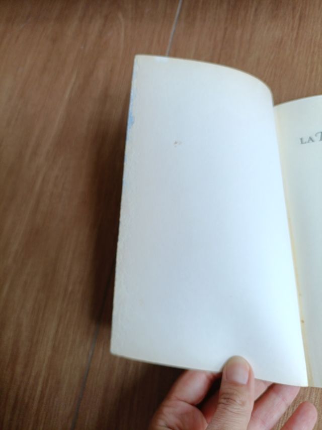 La rueda del tiempo. Desde dos ríos