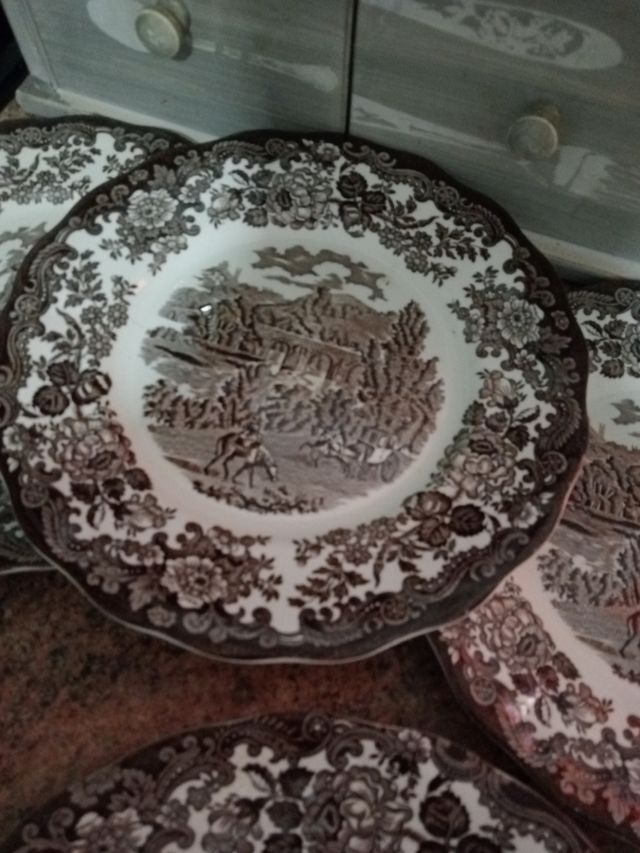 Platos palissy Inglaterra 