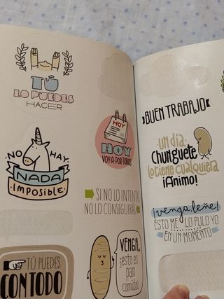Libro Mr Wonderful