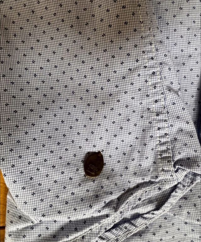 Camisa Scotch & Soda