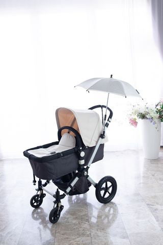 Coche Bebe Bugaboo Cameleon