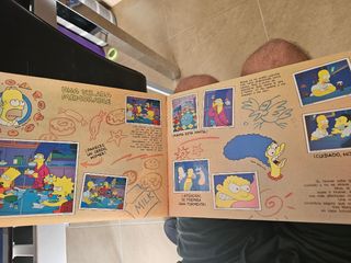 Los Simpsons álbum cromos completo