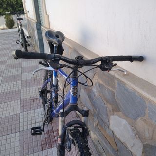 Bicicleta montaña