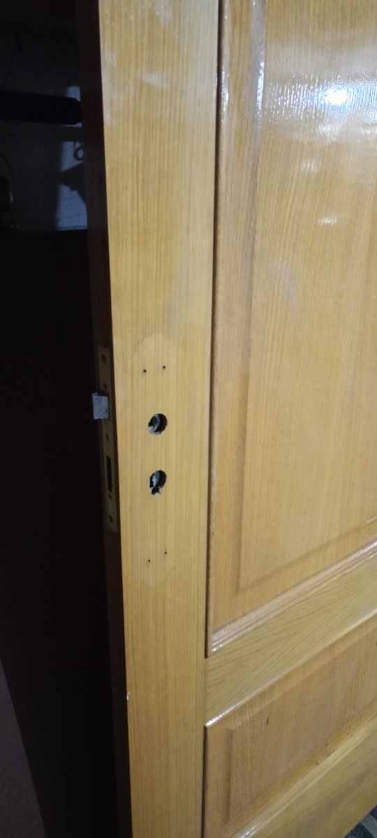 Puerta interior roble