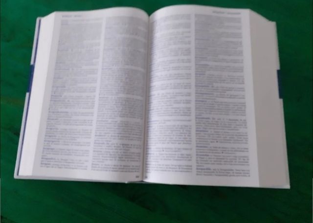 Diccionario del estudiante. RAG