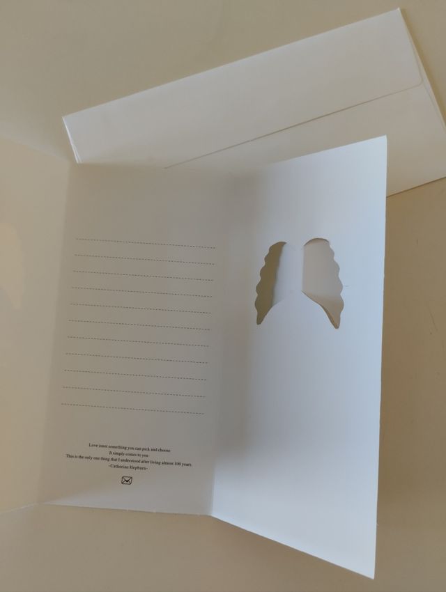 2 carte cuore e ali in rilievo con buste