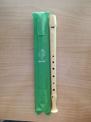 flauta escolar hohner(funda verde)