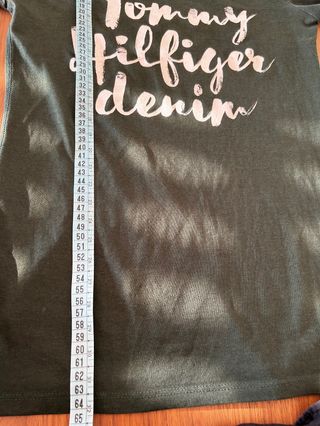 tommy hilfiger t shirt