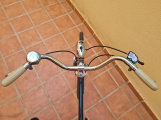 Raleigh Robin Hood '68