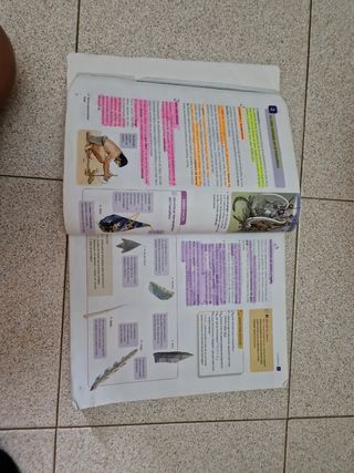 Libro historia 2 Eso