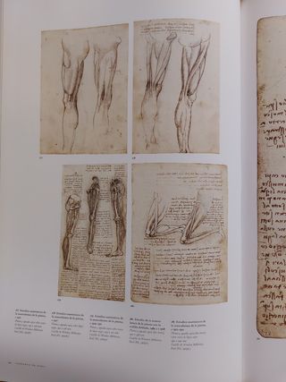 LEONARDO DA VINCI .Edición XXL