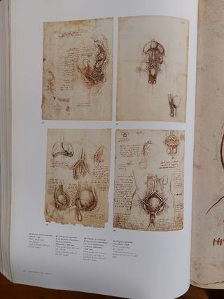 LEONARDO DA VINCI .Edición XXL