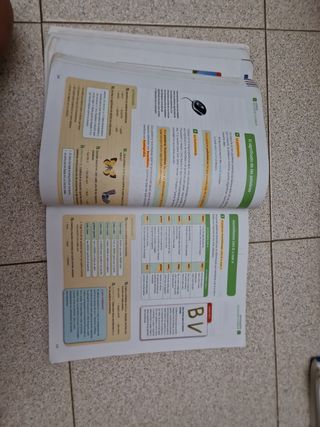 Libro de lengua y literatura 2 Eso
