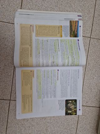 Libro lengua y literatura 4 Eso