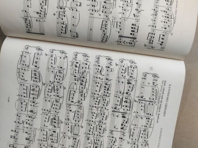 Schumann juventud op68