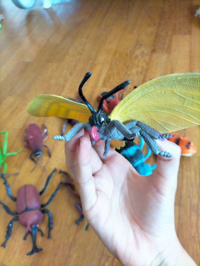 Insectos de juguete para niños