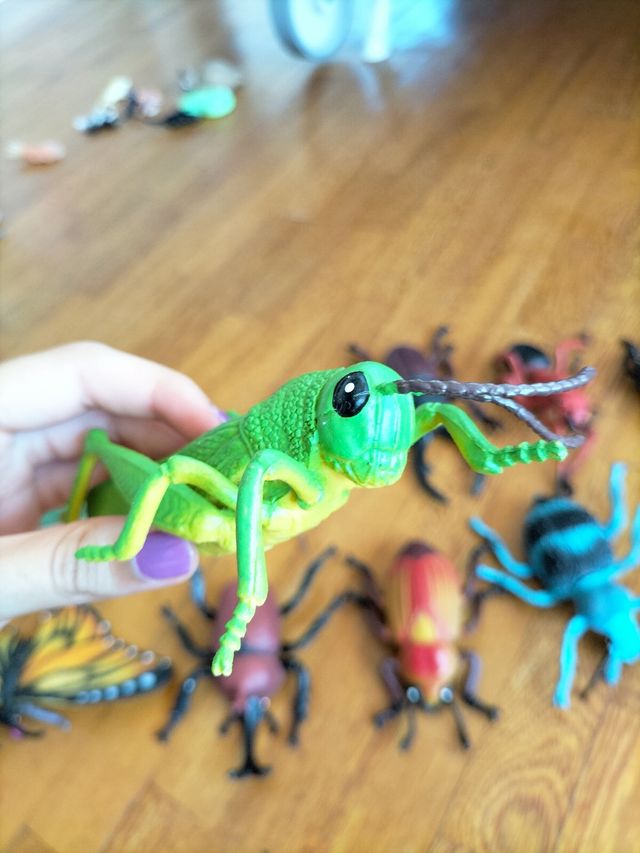 Insectos de juguete para niños