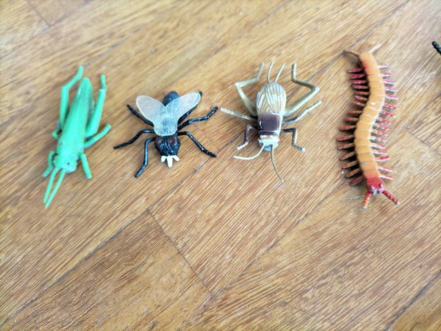 Insectos de juguete para niños