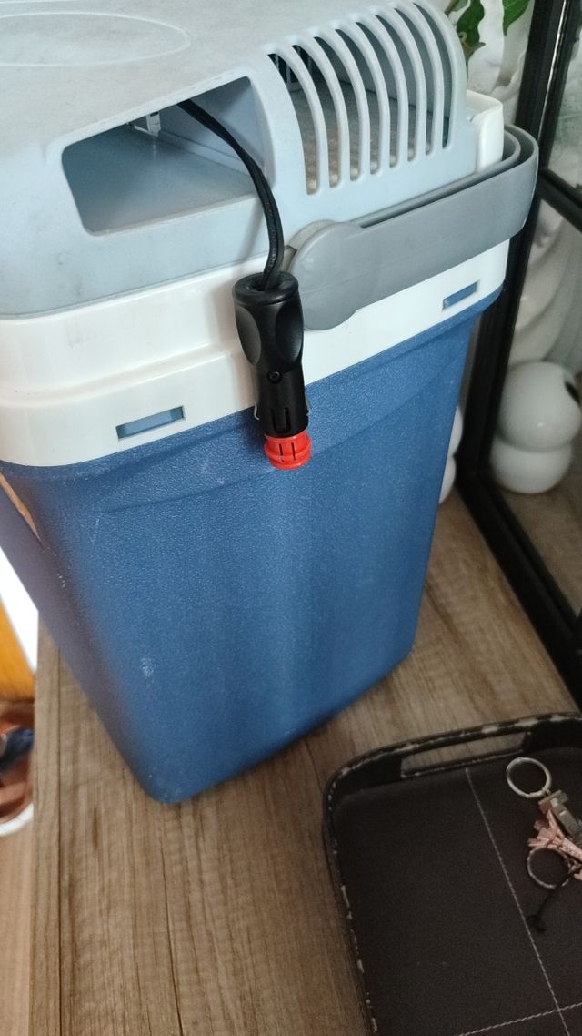 Nevera portátil eléctrica