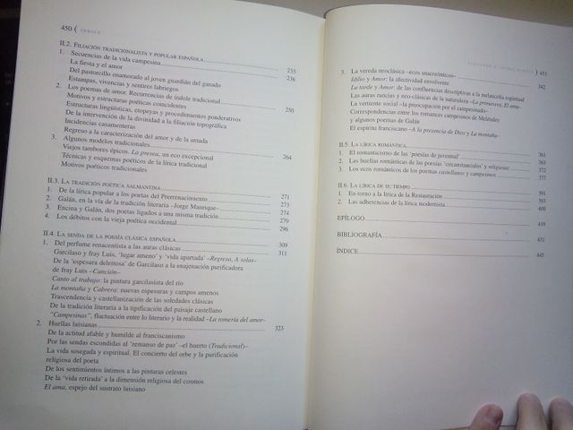 libros GABRIEL Y GALAN.PINTORES GOYA A SOROYA