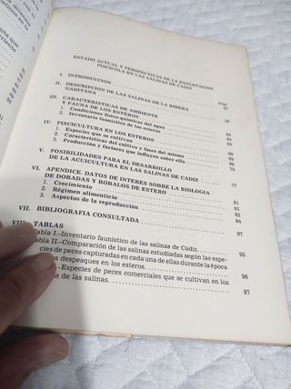 3 Libros de Cadiz