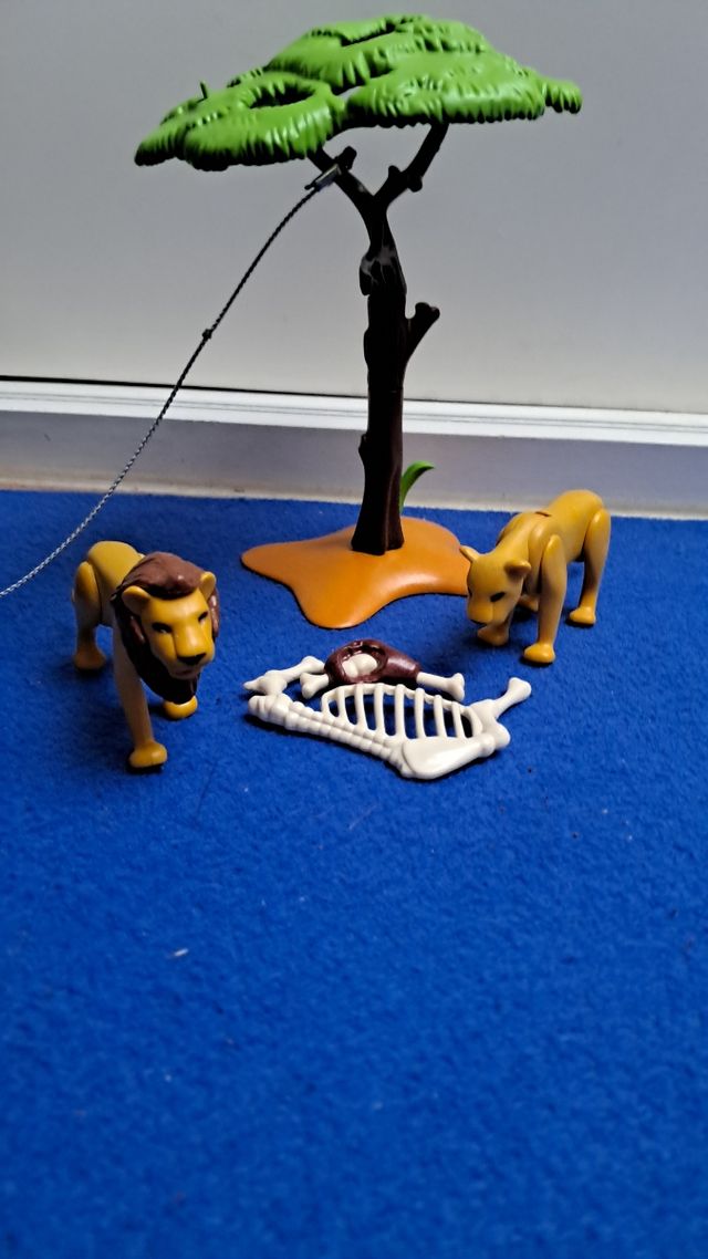 Playmobil wild life 6798