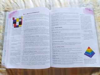 Psicología 2° Bachillerato (ISBN: 9-788448609160)