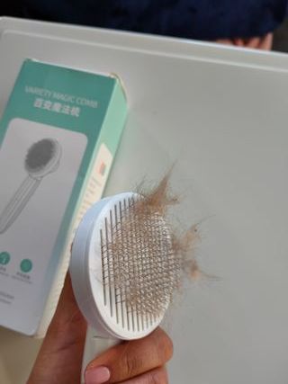 Escova para remoção pelos de gato