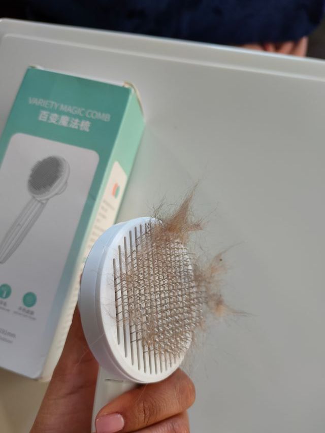 Escova para remoção pelos de gato