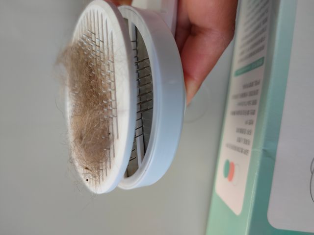 Escova para remoção pelos de gato