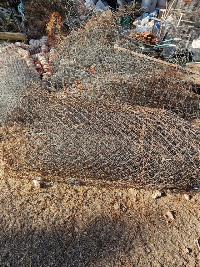 food truck food truck 2023