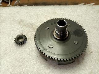 Rapporti primari vespa