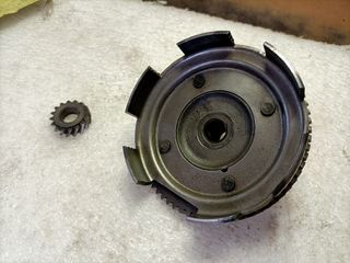 Rapporti primari vespa