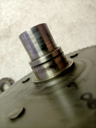 Rapporti primari vespa