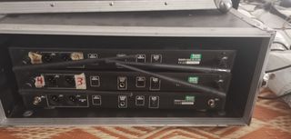 Set microfonos inalambricos