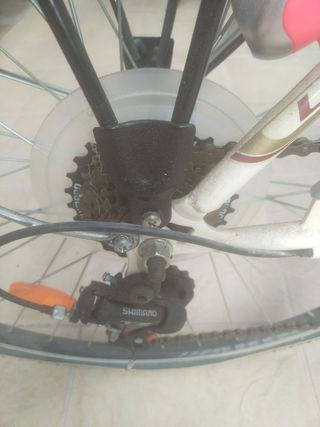 Bici
