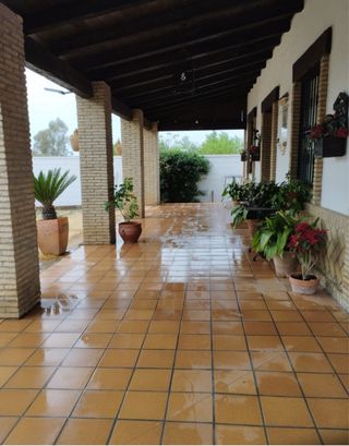SE ALQUILA PARCELA PARA EVENTOS 