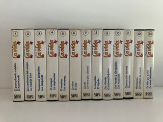 El Cuerpo Humano (libros + vídeos)