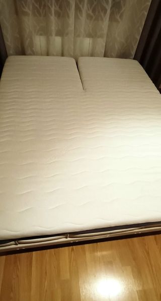 CAMA NUEVA ARTÍCULADA
