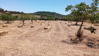 Trabajos agrícolas y forestales