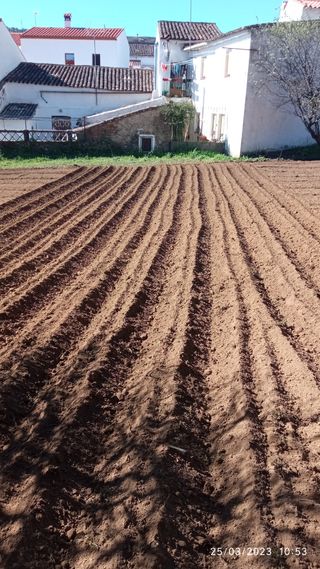 Trabajos agrícolas y forestales