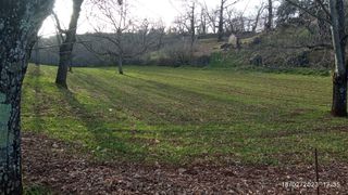 Trabajos agrícolas y forestales